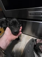 processed/3e322345-39fa-465c-a824-82190542edff/listing/021098a2-09a3-4809-b4e7-0cbaab25314f/afa4aec7-9c83-4735-a7ba-ed451603cd69