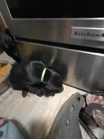 processed/3e322345-39fa-465c-a824-82190542edff/listing/021098a2-09a3-4809-b4e7-0cbaab25314f/d6064e5f-abf9-4054-bde3-be7480505cba