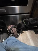 processed/3e322345-39fa-465c-a824-82190542edff/listing/021098a2-09a3-4809-b4e7-0cbaab25314f/e4d56a09-adf3-4558-9ed7-145ef3a4b7a1