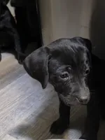 processed/3e322345-39fa-465c-a824-82190542edff/listing/25d7d6c3-aa34-425a-a1a7-a24348d1919b/1228c87e-0221-431c-88ea-4f40c54fbcd5