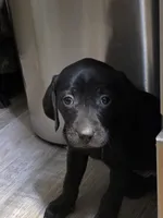 processed/3e322345-39fa-465c-a824-82190542edff/listing/25d7d6c3-aa34-425a-a1a7-a24348d1919b/1fe01b4e-881f-4f9e-b8ee-6326ba0358aa