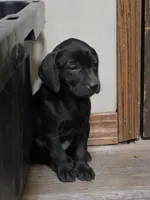 processed/3e322345-39fa-465c-a824-82190542edff/listing/25d7d6c3-aa34-425a-a1a7-a24348d1919b/c2d77405-85bb-43a8-8330-570a966b18cf