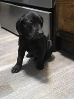 processed/3e322345-39fa-465c-a824-82190542edff/listing/365c7452-dd7d-4236-b03b-594ad1c93626/87962ef4-c76d-464f-989c-6a6f5e4918b8