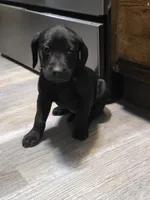 processed/3e322345-39fa-465c-a824-82190542edff/listing/365c7452-dd7d-4236-b03b-594ad1c93626/d09f3563-b146-4383-93cc-a0e75116cd17