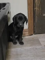 processed/3e322345-39fa-465c-a824-82190542edff/listing/d82f8dc5-d3ce-4068-aec9-93d2e6dee8d3/906dd51f-e3e4-4944-8a24-5818a504dcc7