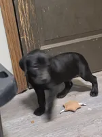 processed/3e322345-39fa-465c-a824-82190542edff/listing/d82f8dc5-d3ce-4068-aec9-93d2e6dee8d3/9d66a07a-3698-4dea-8d08-af1ecbaa3bb9