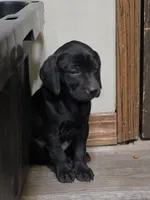 processed/3e322345-39fa-465c-a824-82190542edff/listing/d82f8dc5-d3ce-4068-aec9-93d2e6dee8d3/ca08e774-0b95-48d6-9fe2-e140f5bdec2a