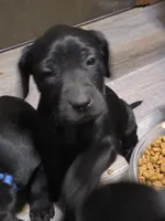 processed/3e322345-39fa-465c-a824-82190542edff/listing/d82f8dc5-d3ce-4068-aec9-93d2e6dee8d3/dd1926e6-41db-4928-96b9-0a083b98ee0b