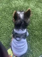 processed/3e342261-0878-485f-9490-099b9db64e60/facility/f7fba2de-5716-4f1c-bfc4-58ca4e1a96b9