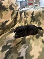 processed/3e37cc0c-cf68-42e5-948b-331faa2707ff/listing/baa28fcf-9935-41c9-b677-2b8254a2bbae/20858dd0-f202-47b3-b02b-c3340ff72e9f