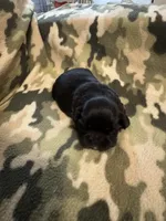 processed/3e37cc0c-cf68-42e5-948b-331faa2707ff/listing/baa28fcf-9935-41c9-b677-2b8254a2bbae/db1a7d3c-d140-4b46-8730-93a257febb11