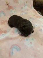 processed/3e37cc0c-cf68-42e5-948b-331faa2707ff/listing/cc43584f-1531-4980-b63e-606fa94c9417/18b120a1-d7ba-408c-8a21-32c5e3973ffa