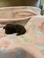 processed/3e37cc0c-cf68-42e5-948b-331faa2707ff/listing/cc43584f-1531-4980-b63e-606fa94c9417/82193f5e-397b-4a28-bd46-6b2771719de9