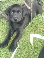 processed/3e3845b7-861c-4cdb-9d3e-973d6f453698/facility/6fecb49c-fe4c-4ad9-a79f-b99d8b4f8fc1