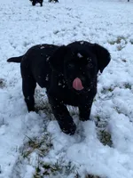 processed/3e3845b7-861c-4cdb-9d3e-973d6f453698/facility/b60abd41-eb81-45d5-9d0d-220cb8b91db4