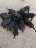 processed/3e3845b7-861c-4cdb-9d3e-973d6f453698/facility/c7c92b47-3567-46b5-847c-3837af3feb81