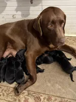 processed/3e3845b7-861c-4cdb-9d3e-973d6f453698/facility/cc53dfc8-15dc-49c2-8889-7ffe265e19f0