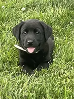 processed/3e3845b7-861c-4cdb-9d3e-973d6f453698/facility/d50d76f8-0f16-4804-9760-272fa2b90b12