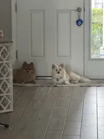 processed/3e3e2456-b199-48f4-88b0-5743a7f70cd4/listing/ecc1cb69-4422-4207-abc2-d735fd00a8cc/12529a53-37f3-4b7f-9f11-dc644c5207cf