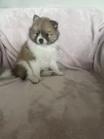 processed/3e3e2456-b199-48f4-88b0-5743a7f70cd4/listing/ecc1cb69-4422-4207-abc2-d735fd00a8cc/7d8bd2e2-43a0-400c-8e76-ee7454b50a6a