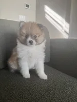 processed/3e3e2456-b199-48f4-88b0-5743a7f70cd4/listing/ecc1cb69-4422-4207-abc2-d735fd00a8cc/eee03123-3715-49e3-a8c1-05c268abdfb0