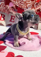 processed/3e3f065e-2ec8-47ca-b51b-db8ec154b673/listing/96de75d9-bbab-4768-a7a5-d7daadf8f9f5/06ccb294-1e13-41ec-8b84-5c1cb44bd973