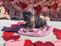 processed/3e3f065e-2ec8-47ca-b51b-db8ec154b673/listing/96de75d9-bbab-4768-a7a5-d7daadf8f9f5/3e32d30a-d8f0-4fd2-b325-ef927bc6e3a2