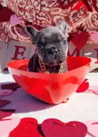 processed/3e3f065e-2ec8-47ca-b51b-db8ec154b673/listing/96de75d9-bbab-4768-a7a5-d7daadf8f9f5/56eb02f2-c292-4043-94e2-fea34e515f3a