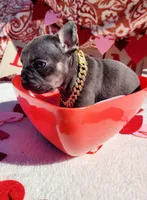 processed/3e3f065e-2ec8-47ca-b51b-db8ec154b673/listing/96de75d9-bbab-4768-a7a5-d7daadf8f9f5/58d80d49-64f5-4031-acc6-5cf94bc649d8