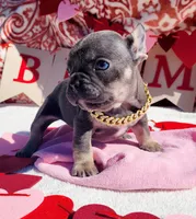 processed/3e3f065e-2ec8-47ca-b51b-db8ec154b673/listing/96de75d9-bbab-4768-a7a5-d7daadf8f9f5/9d1c6de9-85a6-42b1-b578-5bc6b8a3a106