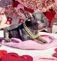 processed/3e3f065e-2ec8-47ca-b51b-db8ec154b673/listing/96de75d9-bbab-4768-a7a5-d7daadf8f9f5/c243cca6-0ca0-4c46-bb5e-22c75b9bf09e