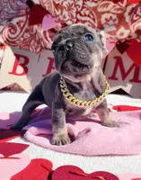 processed/3e3f065e-2ec8-47ca-b51b-db8ec154b673/listing/96de75d9-bbab-4768-a7a5-d7daadf8f9f5/c7beb5c1-2e47-4da6-ac4a-92d203d0a96d