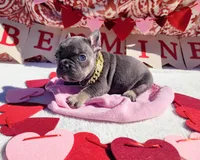 processed/3e3f065e-2ec8-47ca-b51b-db8ec154b673/listing/96de75d9-bbab-4768-a7a5-d7daadf8f9f5/e4ba7dba-bd69-4b03-8d6c-4dcceb032b41