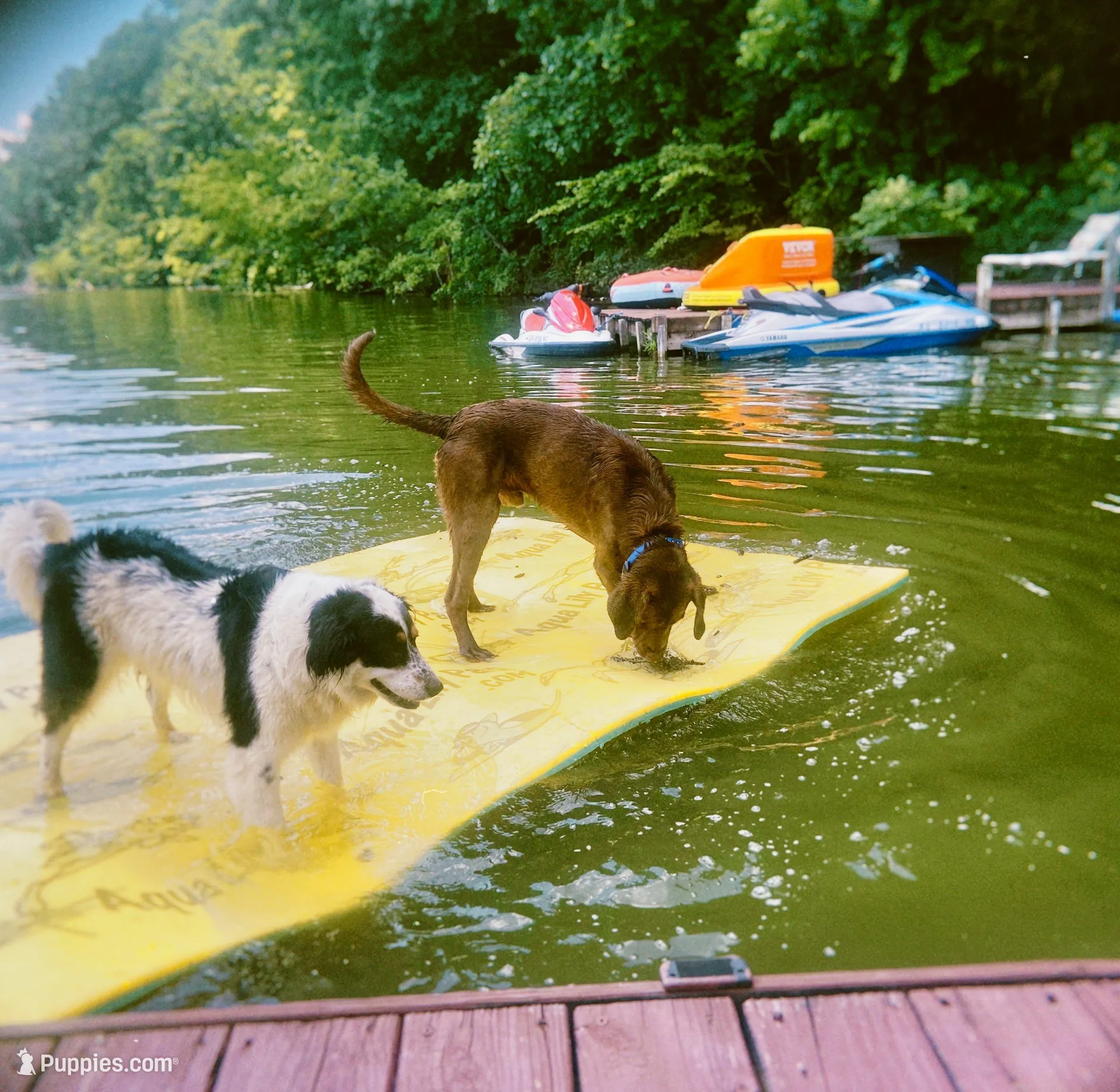 processed/3e47f29e-165f-4f28-9dc9-f51a78ea98c5/facility/8841ec1c-be10-4f8e-ace5-ec93cc93bd45