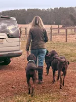 processed/3e47f29e-165f-4f28-9dc9-f51a78ea98c5/facility/df0fc21c-4e1f-461a-af0a-31e5af73ba87