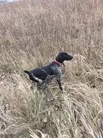 processed/3e4c7325-3711-4502-869c-e43b0d636ad2/facility/2d853a61-ca2f-4402-8037-0321c08f941d