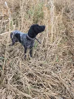 processed/3e4c7325-3711-4502-869c-e43b0d636ad2/facility/a1aaaa4f-39f8-434f-a49e-0fb01424df01