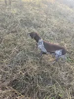 processed/3e4c7325-3711-4502-869c-e43b0d636ad2/facility/d53432bc-40e7-4220-bb82-461ed0c4fcdd