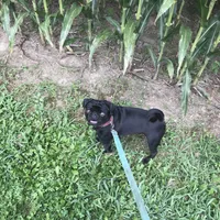 processed/3e4f2568-da7d-4a05-9420-0a9df4f2cc79/facility/07aecdfc-4b7e-42ff-9511-3a594aef9560