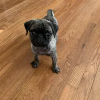 processed/3e4f2568-da7d-4a05-9420-0a9df4f2cc79/facility/143a8488-495a-4bd3-a7a8-890055410e90