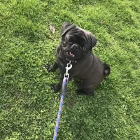 processed/3e4f2568-da7d-4a05-9420-0a9df4f2cc79/facility/31fc436d-7c59-4e73-a2f9-b0f130d8f779