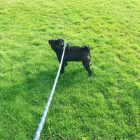 processed/3e4f2568-da7d-4a05-9420-0a9df4f2cc79/facility/425da48b-3278-4228-ac67-c0504c9ecdd6