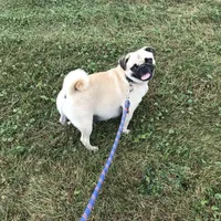 processed/3e4f2568-da7d-4a05-9420-0a9df4f2cc79/facility/481fba8e-bd6c-4659-9407-75fc90182645