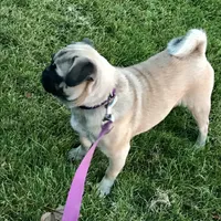 processed/3e4f2568-da7d-4a05-9420-0a9df4f2cc79/facility/55d0556d-2ce7-4001-87a7-523a7cb2eae3