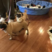 processed/3e4f2568-da7d-4a05-9420-0a9df4f2cc79/facility/75fc6e12-b5bd-4c8d-a0fe-4aa8f2324c87