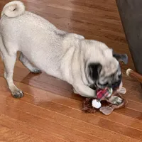 processed/3e4f2568-da7d-4a05-9420-0a9df4f2cc79/facility/84a379de-4b86-4b31-bf97-e31aa99e2799