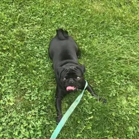 processed/3e4f2568-da7d-4a05-9420-0a9df4f2cc79/facility/8fa48fa8-705f-428c-9c19-c0baeb4bb55f