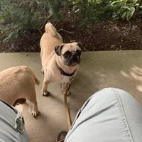 processed/3e4f2568-da7d-4a05-9420-0a9df4f2cc79/facility/fa5a6bac-f3e8-40a6-a192-4dbfa6c9edd5