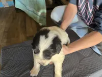 processed/3e53c58e-8780-4326-999e-519ba3bb8c46/listing/0e7a0c10-5486-4c07-bd4f-18bd01081ab9/83aa0a0a-b321-4837-8e7f-bd059778e93f