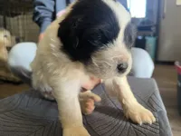 processed/3e53c58e-8780-4326-999e-519ba3bb8c46/listing/0e7a0c10-5486-4c07-bd4f-18bd01081ab9/918dae06-d654-438b-ae03-88455c8ed434